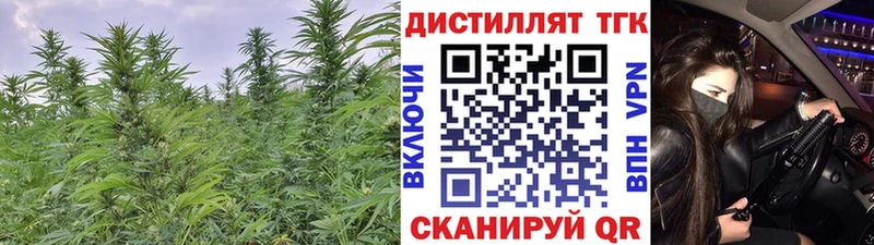 Дистиллят ТГК Wax  Кемь 